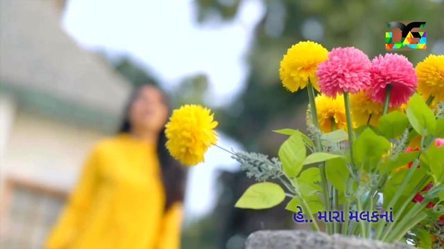 Khava Mate Pizza Videsh Java Visa - Kinjal Dave | New WhatsApp Status | Golakiya Digital смотреть онлайн