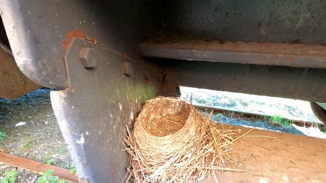 Кладбище паровозов на станции Школьная: они всё ещё там! 05.06.2021 смотреть онлайн