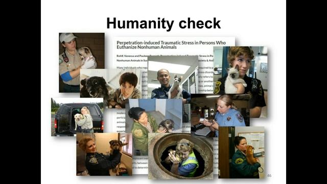 Million Cat Challenge: Cats Birds and Animal Shelters - webcast смотреть онлайн