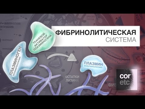 Фибринолитическая система. Фибринолиз