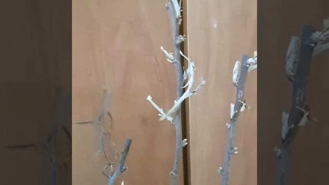 Отзыв клиента Агромаркет24 смотреть онлайн