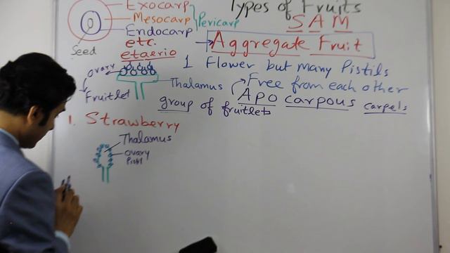 FRUITS - PART 10 (AGGREGATE FRUIT & ETAERIO EXPLAINED IN DETAIL) смотреть онлайн