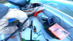 Ловля сома на квок, на крупного живца