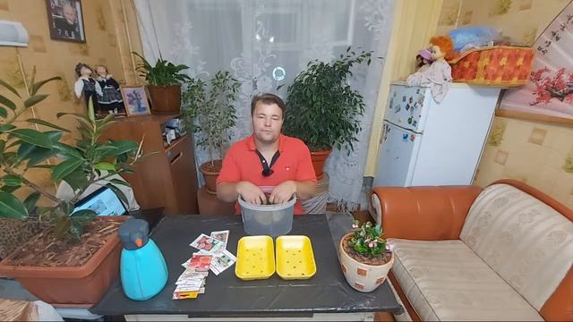 ПРОИЗВОДИМ ПОСЕВ СЕМЯН БЕГОНИЙ И БАЛЬЗАМИНА смотреть онлайн