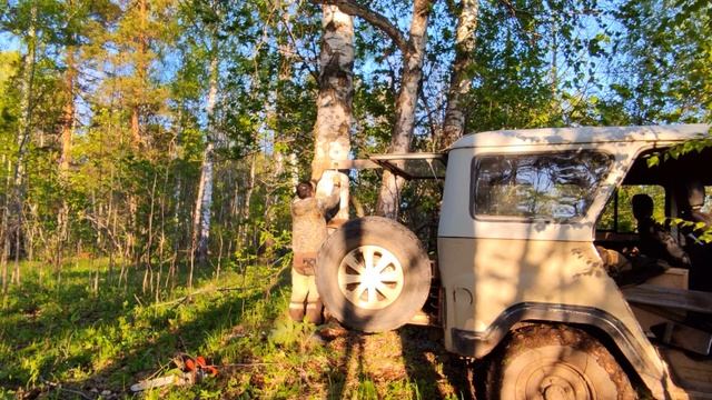 Сделал домик (борть) для ДИКИХ ПЧЕЛ и повесил на дерево. Приготовил на ужин ТРАВУ. смотреть онлайн