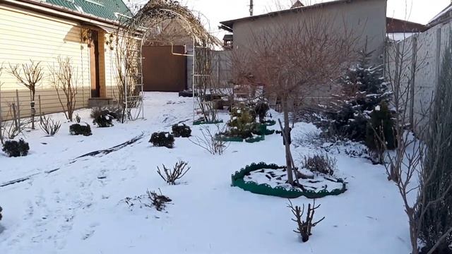 ?Чудесный воскресный день. Готовим пиццу, шашлыки. Получили посылки. Февральский ВЛОГ. смотреть онлайн