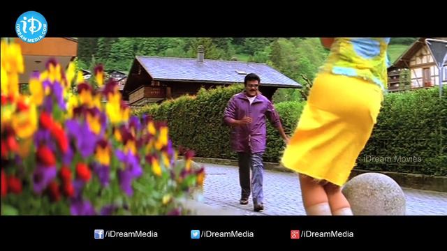 Mega Family Super Hit Songs || Chiranjeevi, Pawan Kalyan, Allu Arjun, Ram Charan