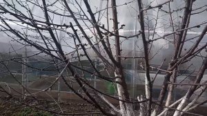 Вторая обработка сада весной. Не пропустите!!!