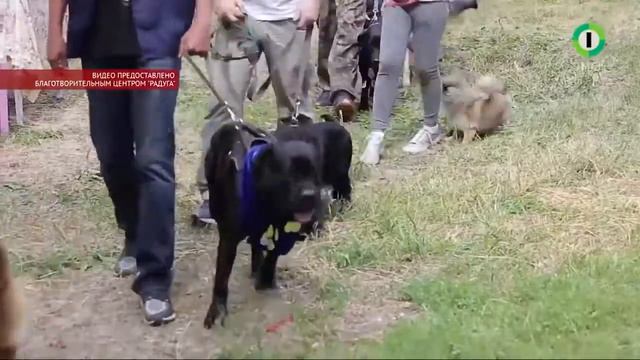 Дворянин смотреть онлайн