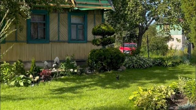 КУПИЛИ СТАРУЮ ДАЧУ | ДО И ПОСЛЕ ? | Как изменился наш учасок спустя 1 год смотреть онлайн