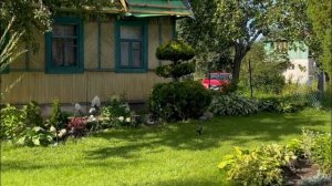 КУПИЛИ СТАРУЮ ДАЧУ | ДО И ПОСЛЕ ? | Как изменился наш учасок спустя 1 год