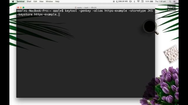 Spring Boot with HTTPS Example | Tech Primers смотреть онлайн