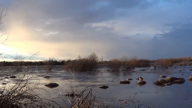 Весенняя охота на селезня с подсадной уткой. смотреть онлайн