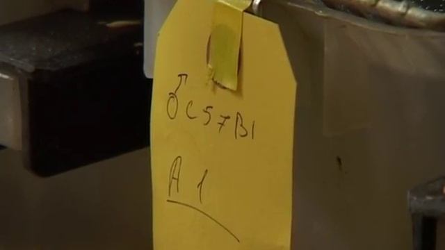 "живой интеллект" /видео для внутреннего пользования, публичное размещение запрещено/ смотреть онлайн