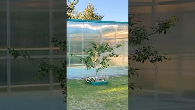 Навес для бассейна из поликарбоната