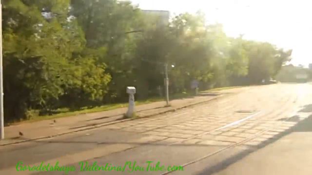 Автобус 801