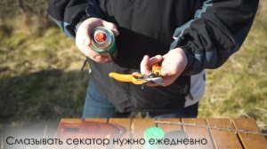 Правка и смазка секаторов