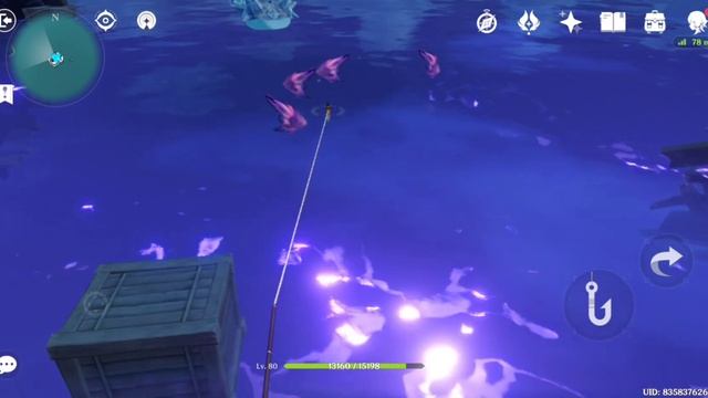 Rare Fish Location | Raimei Angelfish | Genshin Impact смотреть онлайн