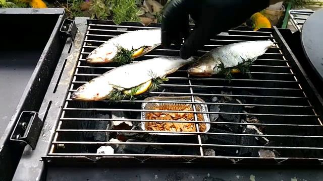 РЫБА, ПАСТА, ОВОЩИ НА ГРИЛЕ FORESTER РЕЦЕПТЫ СЮФ смотреть онлайн