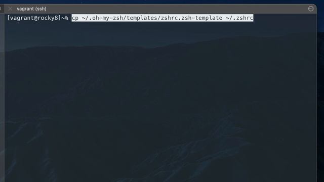 Make your Linux CLI look like a PRO with oh-my-zsh and powerlevel10k! смотреть онлайн