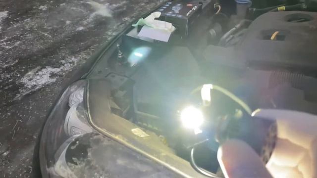 Галоген или Светодиоды? LED лампы F5C. Светодиоды F5C
