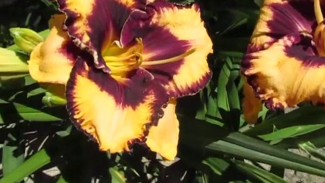 Оупен Май Айз смотреть онлайн