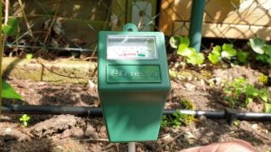 Голубика проверяем кислотность почвы