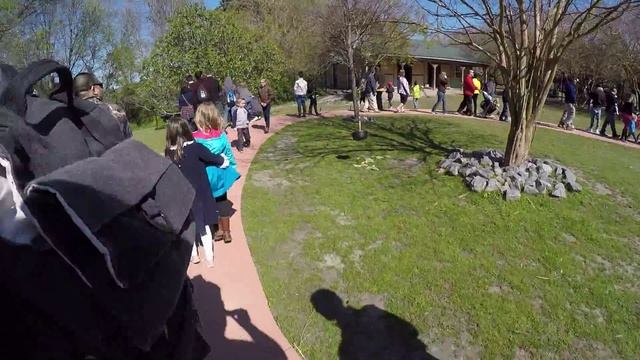 Virginia Zoo Australia Walkthrough смотреть онлайн