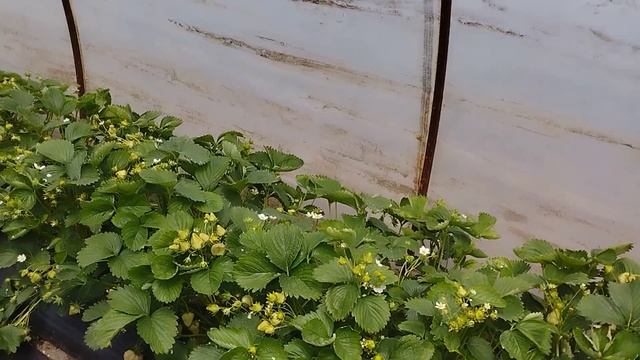 13 мая 2023 г. смотреть онлайн