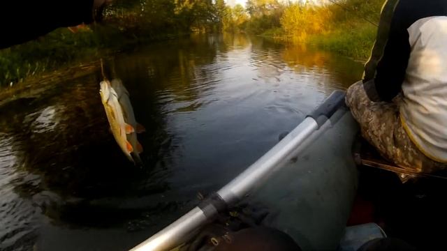 Голавль и щука на спиннинг. Рыбалка на малой реке смотреть онлайн