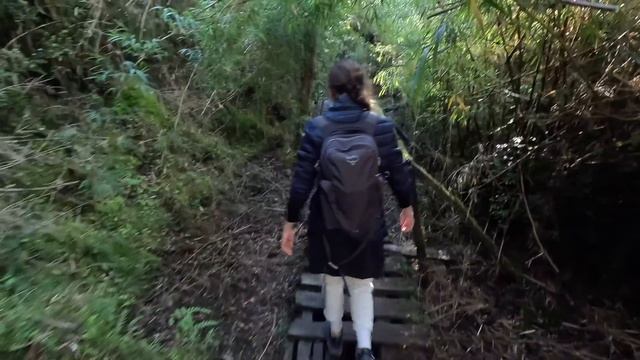 Avevamo detto di NON farlo PIÙ - Ecco cosa è SUCCESSO - TREKKING VENTISQUERO COLGANTE смотреть онлайн