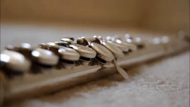 Chaminade Concertino by Ingrid Guo смотреть онлайн