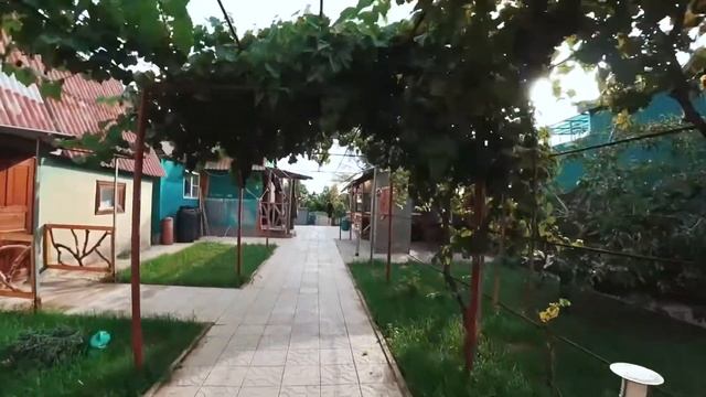 Отдых и рыбалка. Рыбалка в Астрахани. Рыбалка на сазана . #путешествуйлегко смотреть онлайн