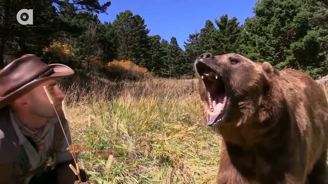 GRIZZLY BEAR ATTACK! смотреть онлайн