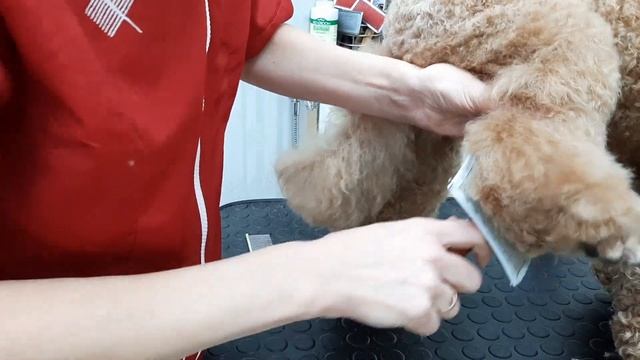 Как я расчёсываю шерсть смотреть онлайн