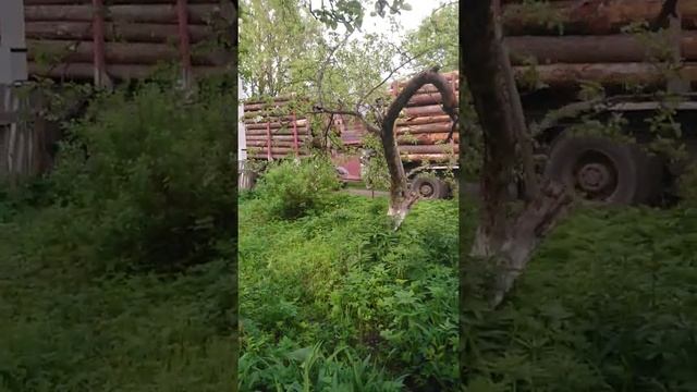 Деревня Молосковицы. Разрушение дороги. смотреть онлайн