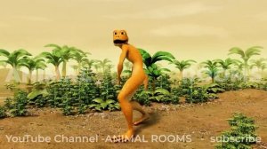 The Patila MAGIC dancing frog  | el chombo