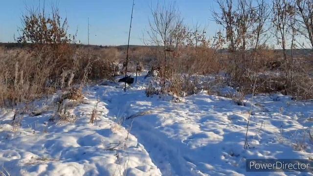 ЛОВЛЯ ЩЕГЛОВ? И ДРУГОЙ ПТИЦЫ. ДЕНЬ ЩЕГЛА??? 5.01.22. смотреть онлайн