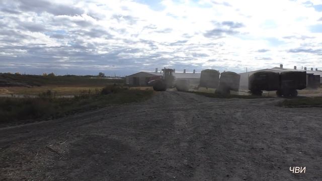 Уборка кукурузы и заготовка силоса ООО Толстодубровское смотреть онлайн