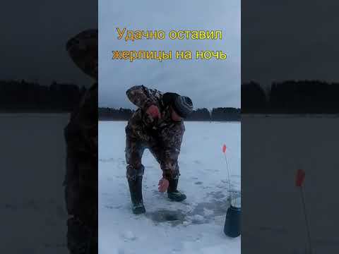 УДАЧНО оставил ЖЕРЛИЦЫ на ночь смотреть онлайн