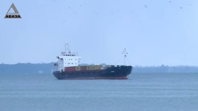 Рыбный запах  портит воздух  Маяка