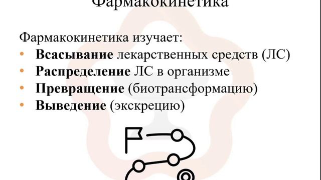 1.2. Фармакокинетика: что изучает? смотреть онлайн