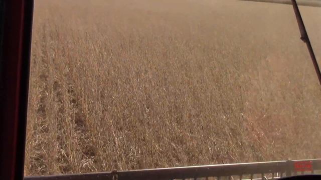 HARVEST Like a BOSS | 9700 Axial Combine смотреть онлайн