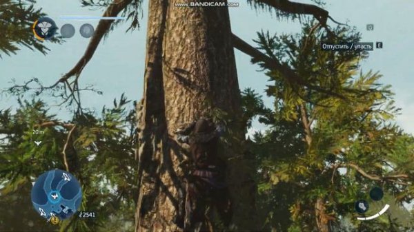 Assassin's Creed Liberation HD