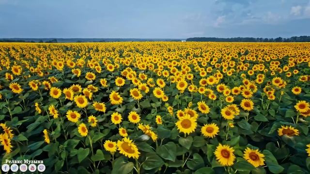 Музыка для души! Эту музыку можно слушать вечно! Лучшие композиции Сергей Грищук #2 смотреть онлайн