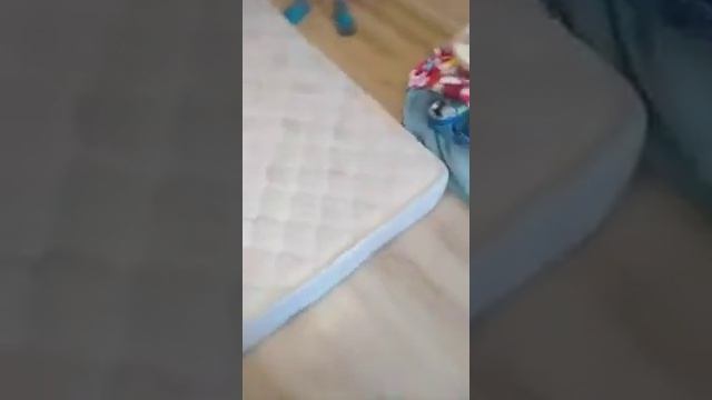 Отзыв о матрасе Димакс Оптима лайт смотреть онлайн