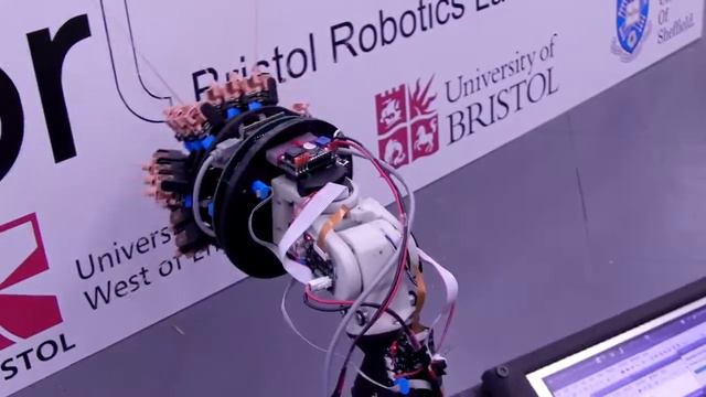 Shrewbot смотреть онлайн