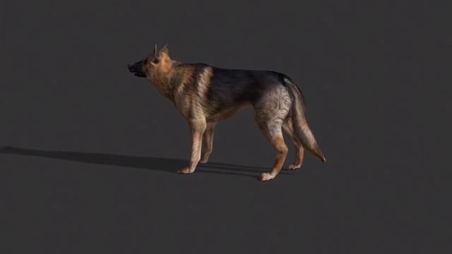NEW ANIMALS. FREE ZOO 2 (Animals + Animations, iClone 6.54 and 7) FCMP-112 смотреть онлайн