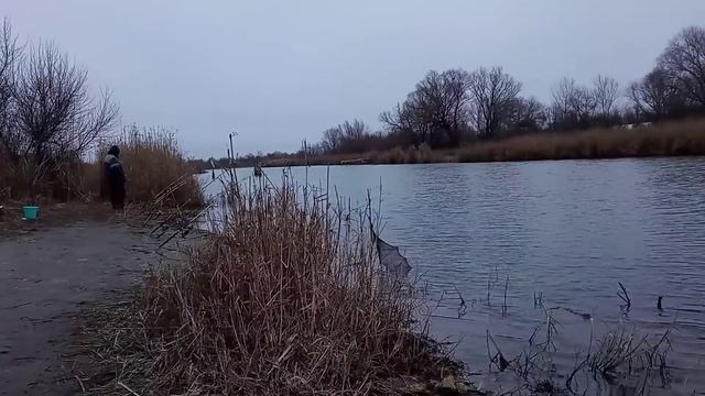 ТЕСТ КАМЕР POCO X3 PRO - ЧЕСТНЫЙ ОБЗОР! смотреть онлайн