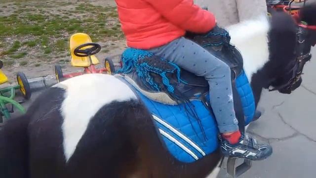Прогулка на пони, живая Pony смотреть онлайн